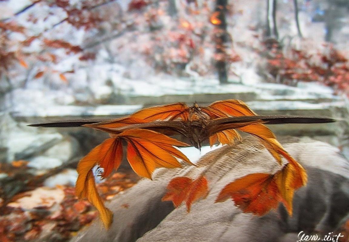 俄罗斯VS西班牙：欧洲足球强国的巅峰对决